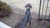 Eli looking away 2